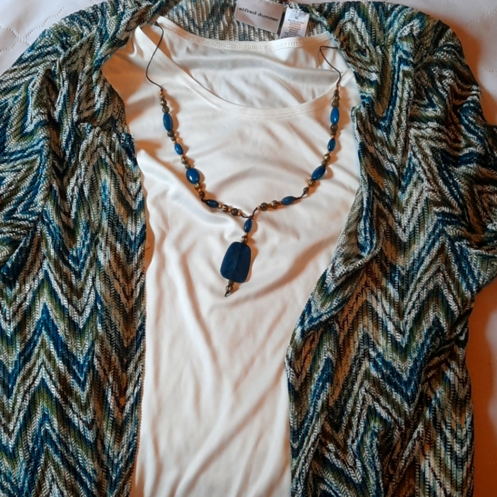 Alfred Dunner short sleeve sweater and necklace